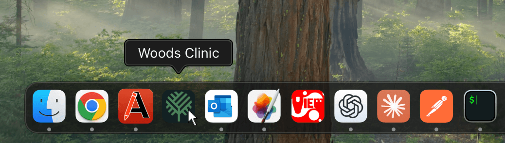 图 25.3.5.1-2 启动 Woods Clinic 应用